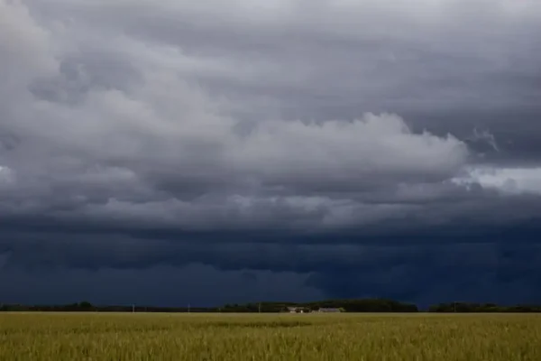 Ostrzeżenie drugiego stopnia przed burzami w powiecie inowrocławskim