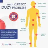Nowy program badań przesiewowych raka płuca w Bydgoszczy