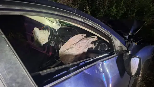 Jeleń na drodze wojewódzkiej 412 w Kobylnikach – auto rozbite, nikt nie ucierpiał