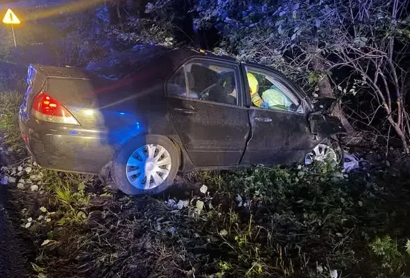 Gocanowo, DK62: auto osobowe uderzyło w drzewo. Akcja służb w nocy