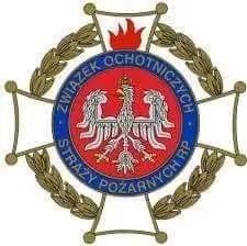 Młodzieżowa Drużyna Pożarnicza z Złotnik Kujawskich oddała hołd poległym strażakom