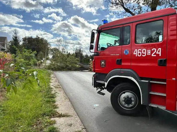 Powalone drzewo na ul. Ustronie w Janikowie — interweniowała OSP