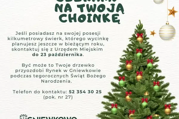 Gniewkowo szuka świątecznego świerku. Zgłoszenia do 23 października