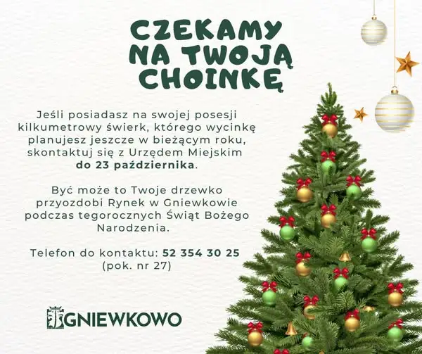 Gniewkowo szuka świątecznego świerku. Zgłoszenia do 23 października