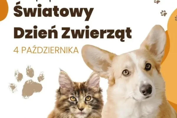 Światowy Dzień Zwierząt w Inowrocławiu – szkolna zbiórka dla schroniska