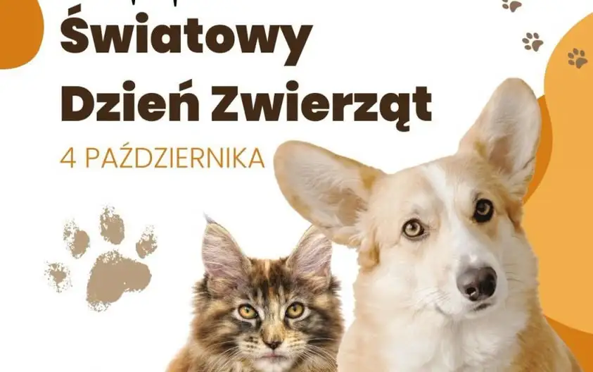 Światowy Dzień Zwierząt w Inowrocławiu – szkolna zbiórka dla schroniska
