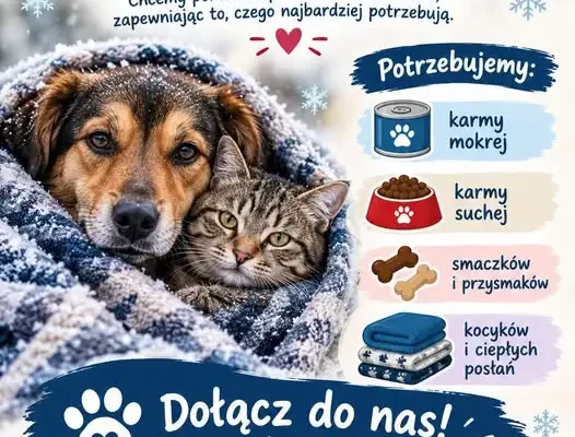 Zbiórka darów dla bezdomnych zwierząt w Janikowie – do końca października