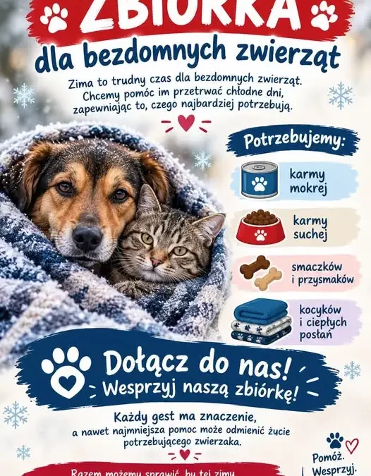 Zbiórka darów dla bezdomnych zwierząt w Janikowie – do końca października