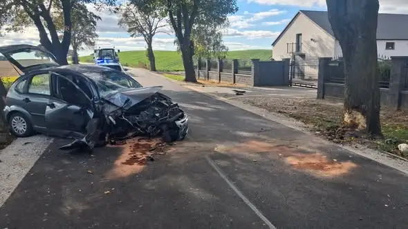 Radłowo: samochód osobowy uderzył w drzewo, jedna osoba poszkodowana