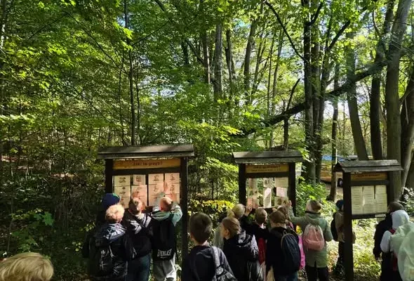 Uczniowie z SP nr 14 w Inowrocławiu odkrywali „Magię drzewa” w Myślęcinku