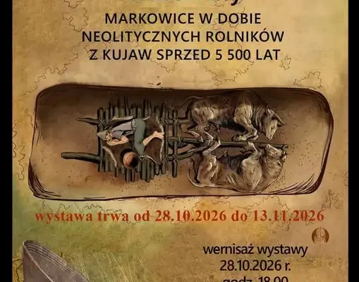 Neolityczne sanie z Markowic na wystawie w Gniewkowie