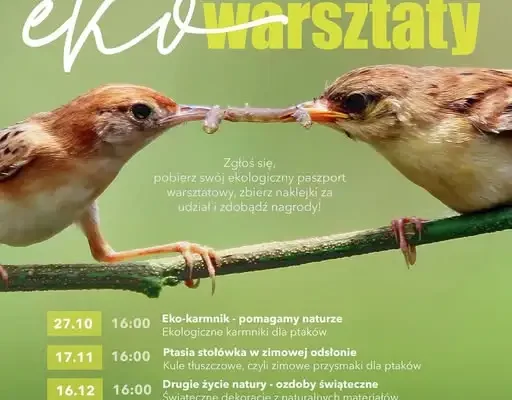 Eko warsztaty dla dzieci i młodzieży w Janikowie – zapisy trwają